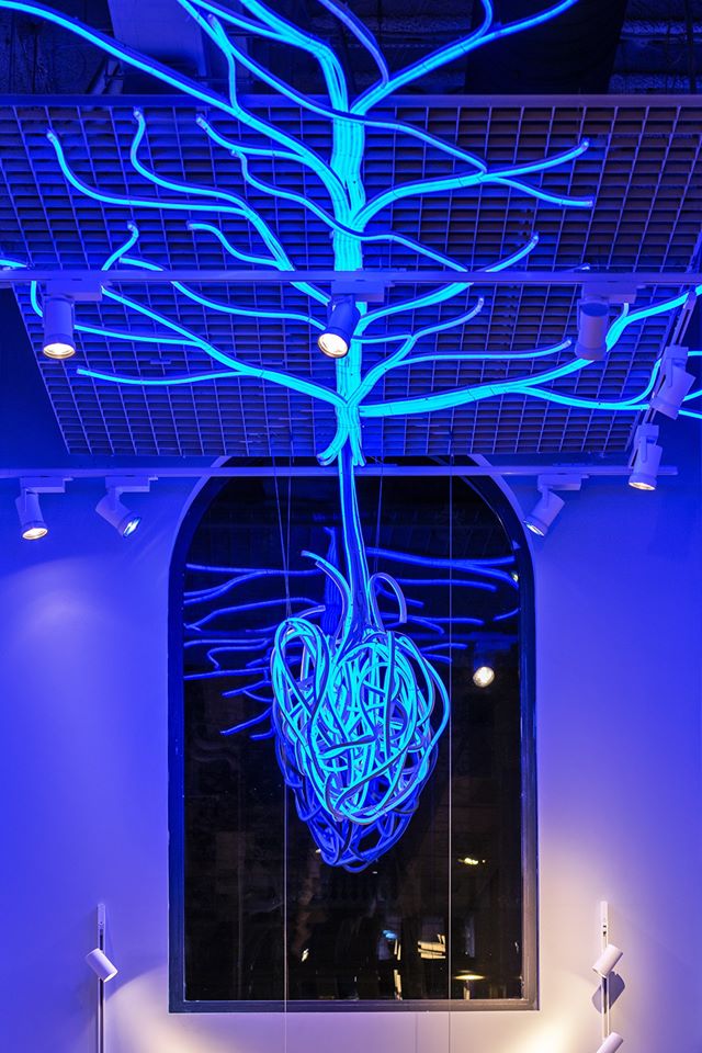 78468753_3042102915803956_6786044406374858752_o